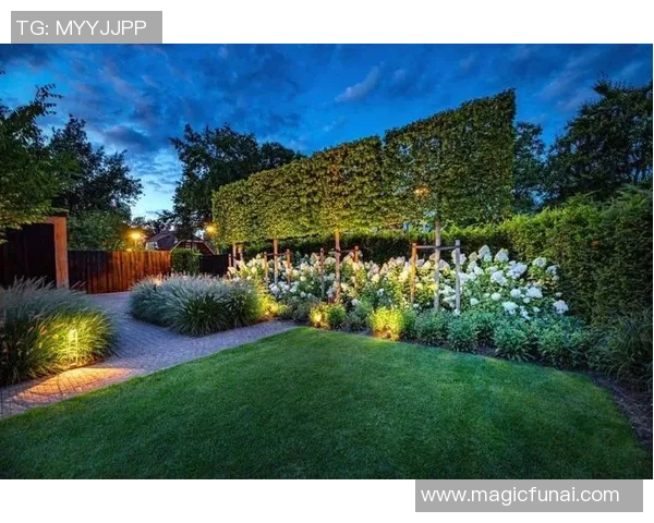 花卉种植的技巧与经验分享，助你打造四季如春的花园景观