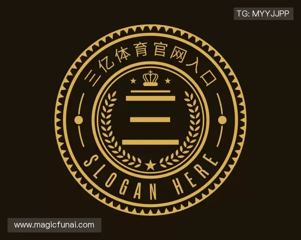 介绍三亿体育